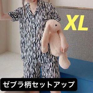 半袖セットアップ レディースパジャマ ゼブラ 涼しい 夏ルームウェア XL 上下セット 半袖シャツ パジャマ セットアップ