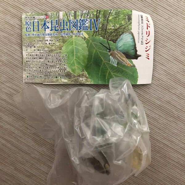 原色日本昆虫図鑑