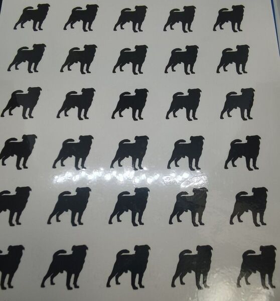 淫紋 淫紋タトゥーシール 犬経験数