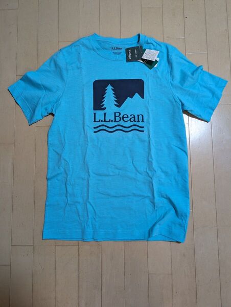 LLビーン メンズ Tシャツ Mサイズ