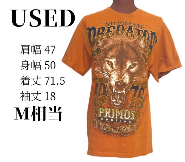 【USED】M相当 アニマル Tシャツ オオカミビッグ両面プリントバックプリント