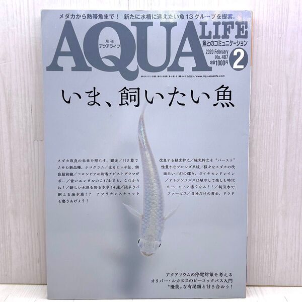 月刊アクアライフ 2020年2月号 (エムピージェー)