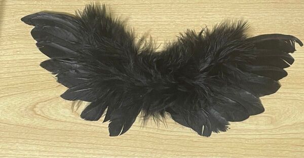 ぬいぐるみ 20cm 25cm 30cm 翼 羽 羽根