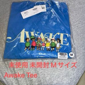 未使用 未開封 Awake NY La Comunidad Classic Logo Tee/M/Tシャツ アウェイク