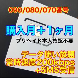 プリペイドSIMカード SMS受信可能 090/080/070