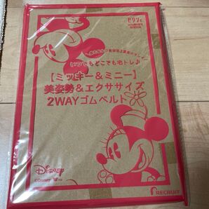 ゼクシィ付録 ミッキー&ミニー 美姿勢&エクササイズ