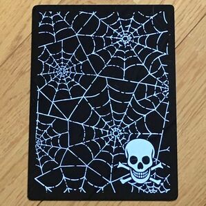 下敷き 蜘蛛の巣&髑髏 文房具 スカル&スパイダーウェブ
