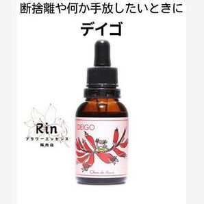 デイゴフラワーエッセンス フラワーエッセンスのシャンドゥルール
