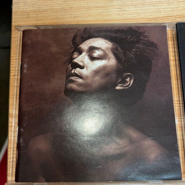 坂本龍一 レア物 BEAUTY US盤
