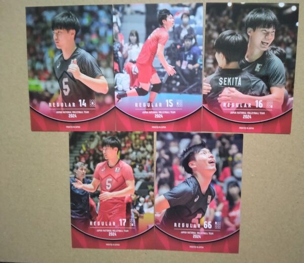 バレーボール男子日本代表2024 大塚達宣