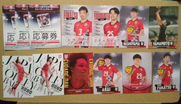 バレーボール 男子 日本代表 2024 トレーディングカード