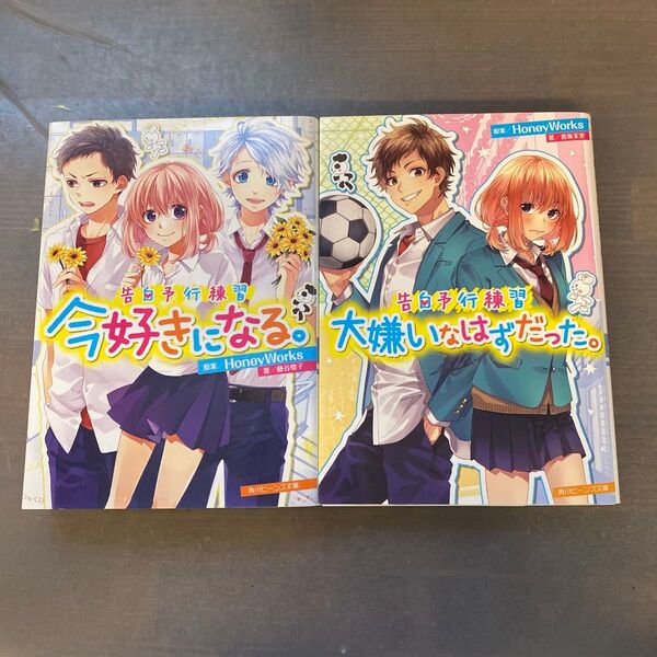告白予行練習 大嫌いなはずだった。今好きになる。2冊セット
