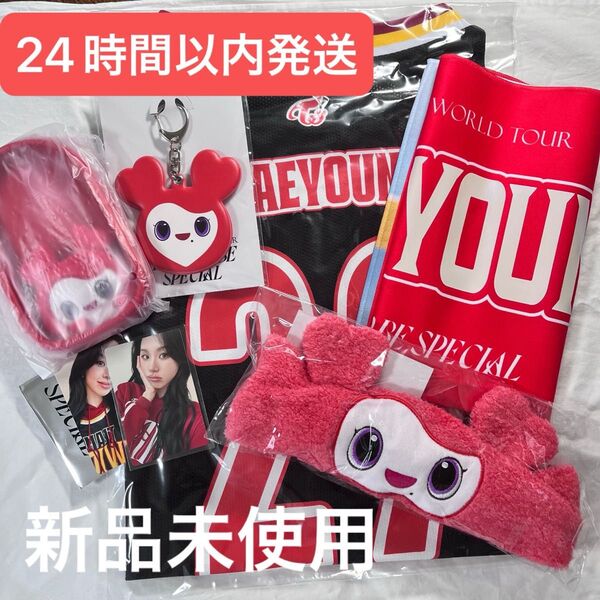 TWICE READY TO BE チェヨン chaeyoung ライブ グッズ
