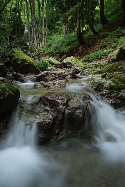 作例付き SUN opt. 24-40mm F3.5 管mpr