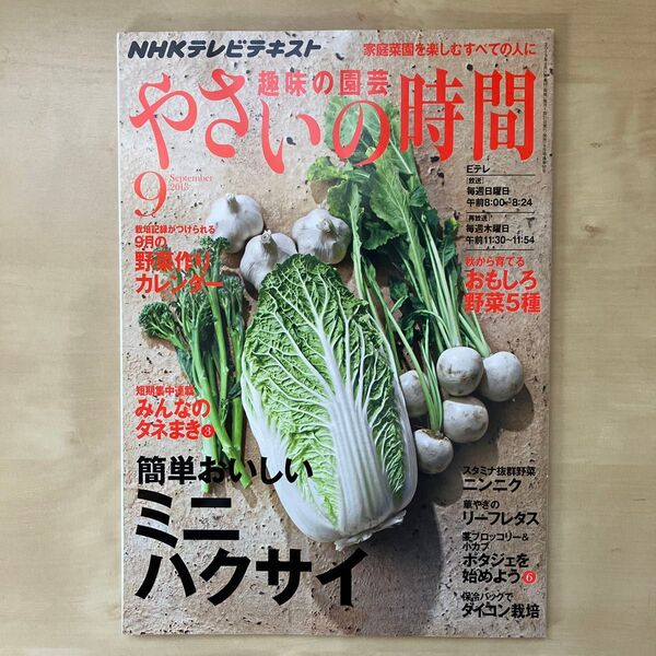 NHK 趣味の園芸 やさいの時間 (2013 9) 月刊誌/NHK出版