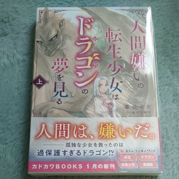 人間嫌いの転生少女はドラゴンの夢を見る上 香住なな/岩崎美奈子
