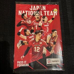 龍神NIPPON VNL 男子バレー 女子バレー