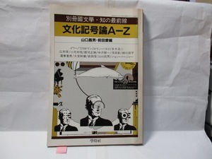 別冊国文学・知の最前線　文化記号論A-Z 山口昌男・前田愛編　　學燈社　1984年10月 