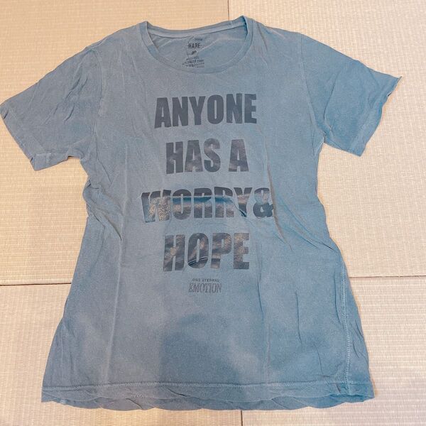 Tシャツ 半袖 プリントHARE
