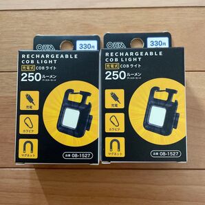 ダイソー 充電式cobライト 250ルーメン 2個セット ブラック