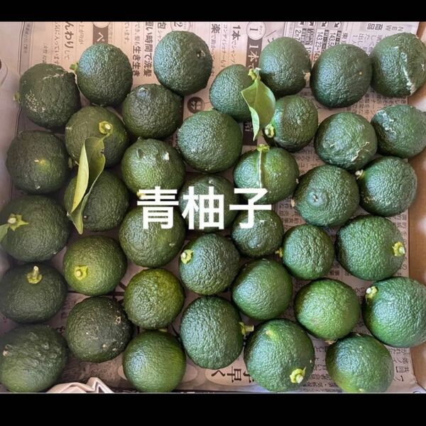 無農薬 青柚子 正味1キロ