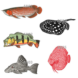  fish sticker Plecostomus,ei, discus,pi- cook bus 