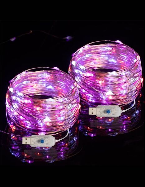 Gardenvy USB給電フェアリーライト 2パック 33フィート 多の色