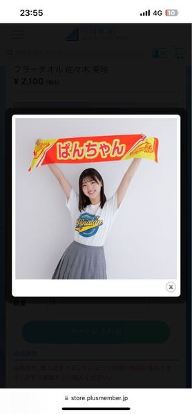 5回目ひな誕祭 あだ名推しマフラータオル 佐々木美玲 おまけ