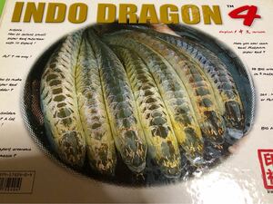  rare goods used book@/INDO DRAGON 4 osteoglossids fresh water ei large fish 