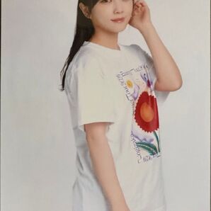乃木坂46 チートデイ 生写真 与田祐希