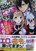 〒乙女系小説　藍杜雫　どうしよう？若奥様は今日もピンチです！　公爵様のばかばかえっち！！【帯有】