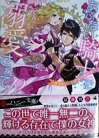 乙女系小説　秋野真珠　あぶない騎士に溺愛されて！？～ハイトランド王女の極甘婚～【帯有】