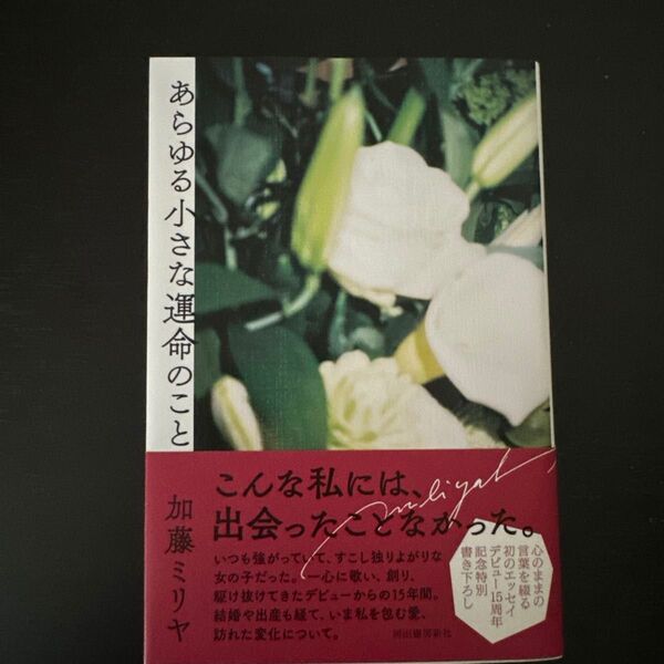 あらゆる小さな運命のこと/加藤ミリヤ