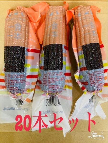 糯玉米棒 モチとうもろこし 軸付き糯玉米 20本セット もち糯玉米棒