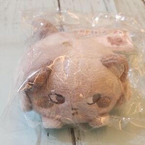 にぎちょこ ぬいぐるみ ココロアライグマ アシアライグマ