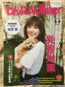 本田 翼 ★わんにゃんWalker 2019/8・9月号(全28ページ) ★ A4サイズ ★新品・非売品