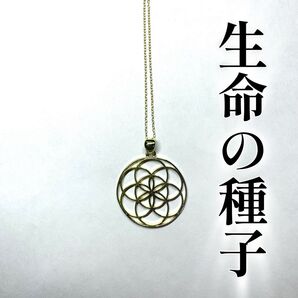 シードオブライフネックレス 生命の種子 龍神波動 神聖幾何学模様 開運