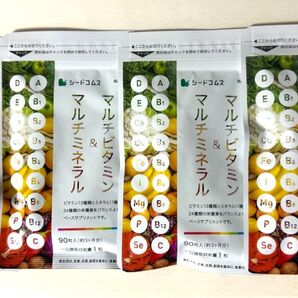 マルチビタミン&マルチミネラル 3ヶ月分 ×4袋(12ヶ月分)葉酸 ナイアシン カロテン 鉄 亜鉛 カルシウム マグネシウム