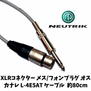 KN134 NEUTRIKモノラル変換 ピンプラグNCFX カナレL-4E5AT