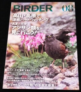 BIRDER (バーダー) 2013年 08月号★アジサシ　ミサゴ　高山・高原バードウォッチング