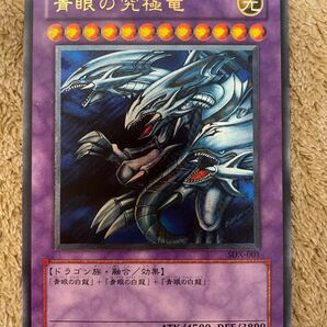 ブルーアイズアルティメットドラゴン レリーフ 遊戯王