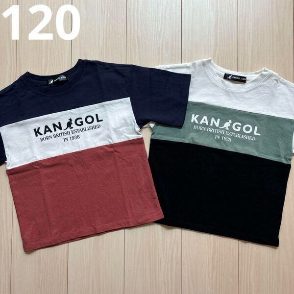 【Right-on】カンゴール3段切り替え ロゴ Tシャツ 2色セット 120