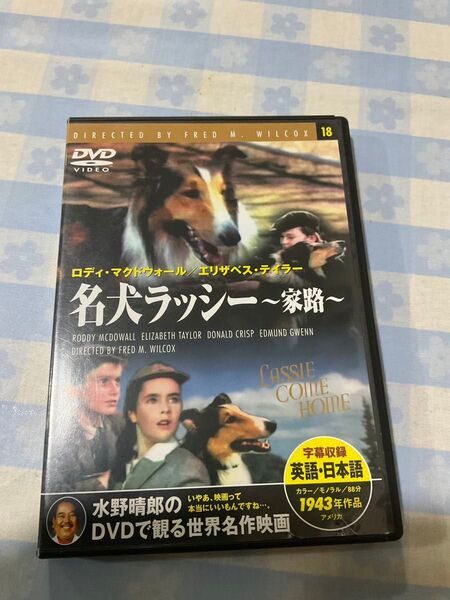 映画DVD名犬ラッシー 家路 1943年作品アメリカ カラーモノラル88分 中古品
