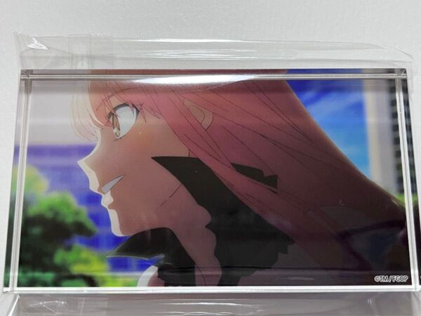 fgoフェス ノクナレア アクリルブロック サバフェス Fate