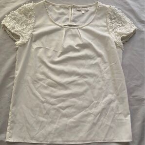 プロポーションボディドレッシング ブラウス