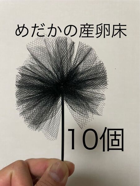 【めだか産卵床10個(チュール生地黒)の商品】