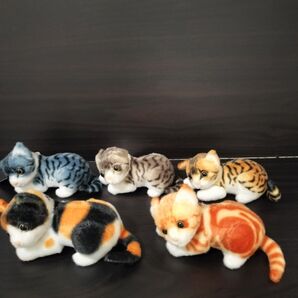 リアルアニマル 猫 ぬいぐるみ
