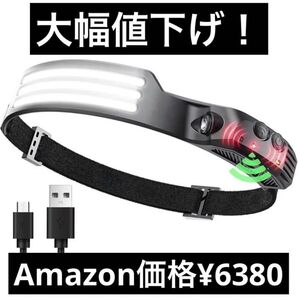 【半額よりさらにOFF】Type-C 作業用ヘッドライト【災害用にも】