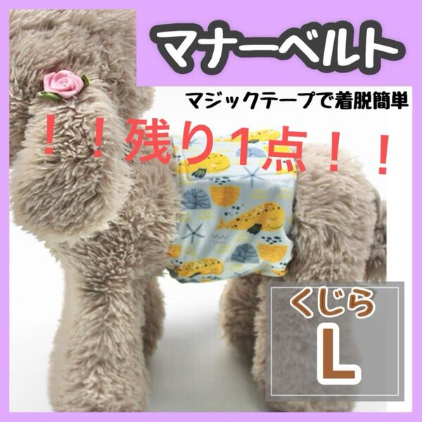 大人気ラスト1点 Lサイズ クジラ柄 マナーベルト ペット マナーバンド 犬