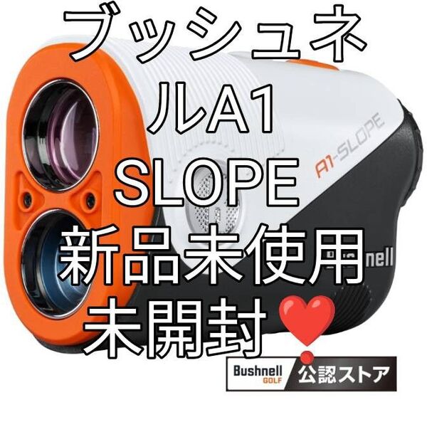 イーグル・ビジョンACE PRO